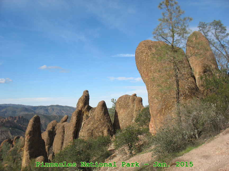 Picture 0012