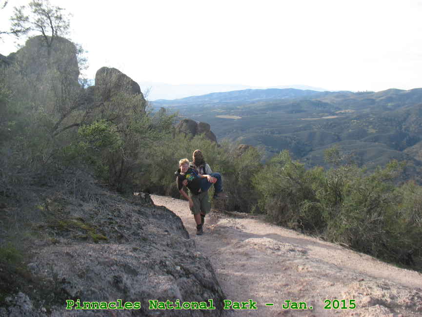 Picture 0015