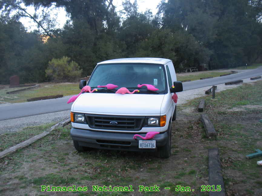 Picture 0025