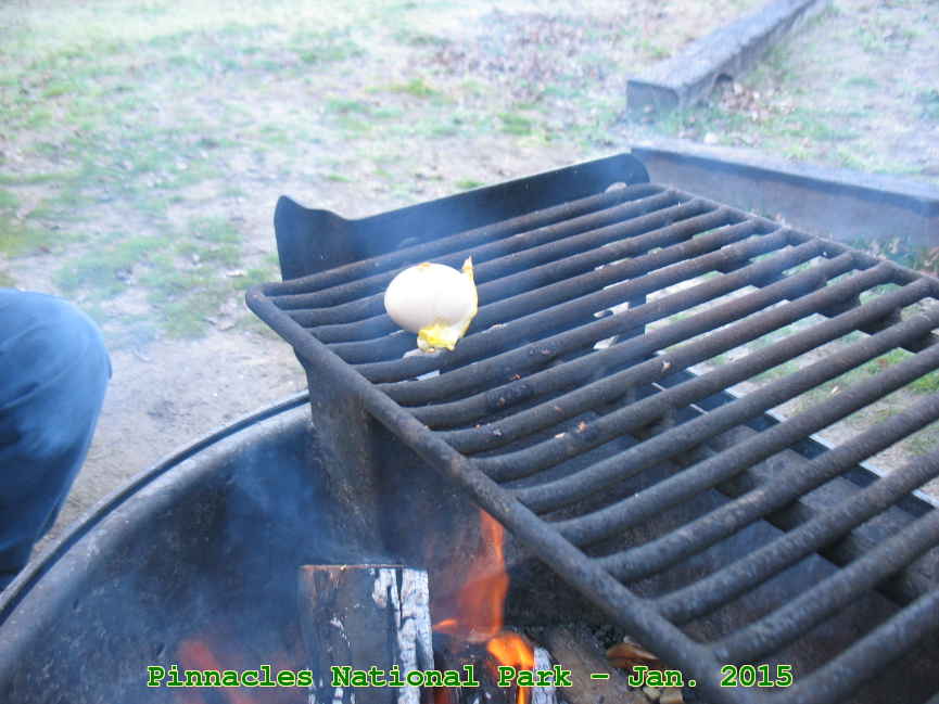 Picture 0029