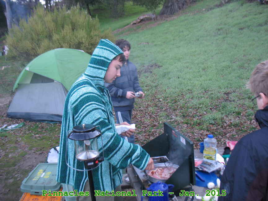 Picture 0031