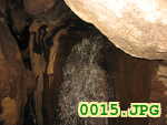 Picture 0015