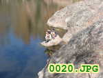 Picture 0020
