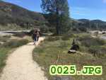 Picture 0025