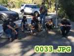 Picture 0033