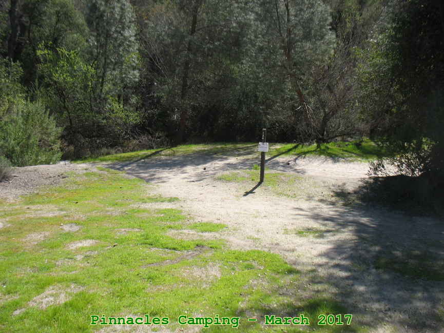 Picture 0001