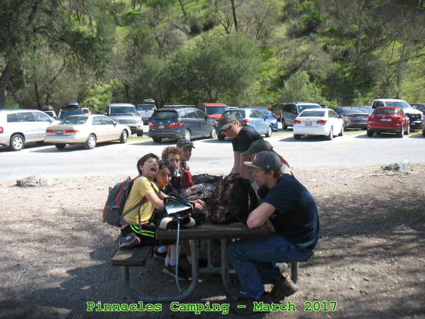 Picture 0006