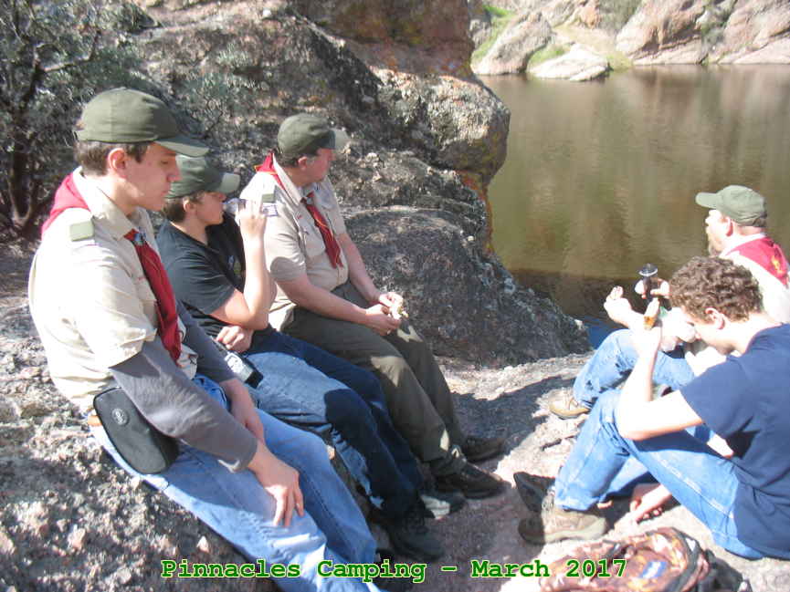 Picture 0019