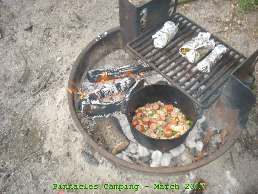 Picture 0021
