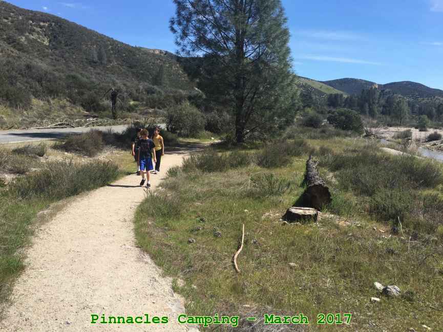 Picture 0025