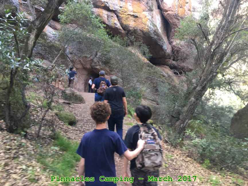 Picture 0028