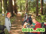 Picture 0016