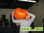 Picture 0001