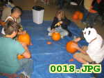 Picture 0018