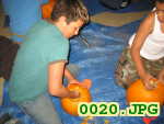Picture 0020
