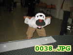 Picture 0038