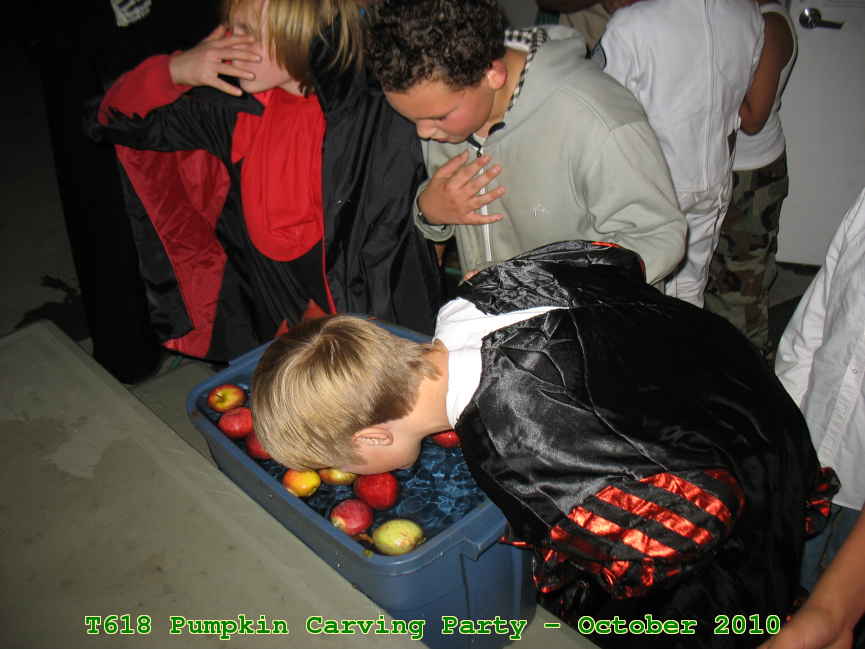 Picture 0041