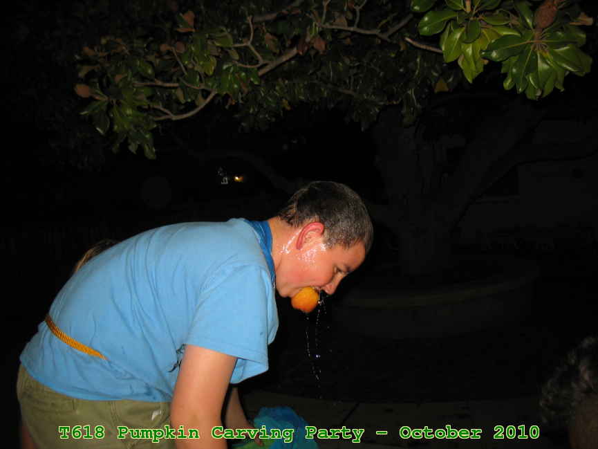 Picture 0046
