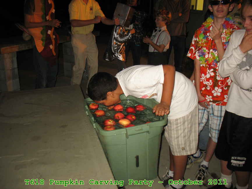 Picture 0038