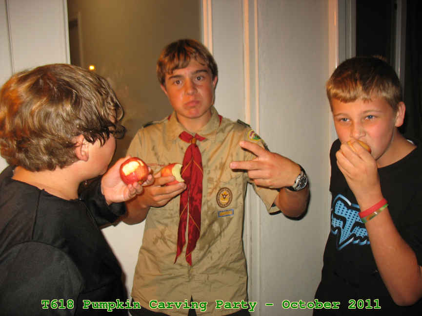 Picture 0042