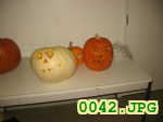 Picture 0042