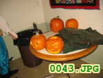 Picture 0043