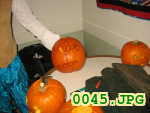 Picture 0045
