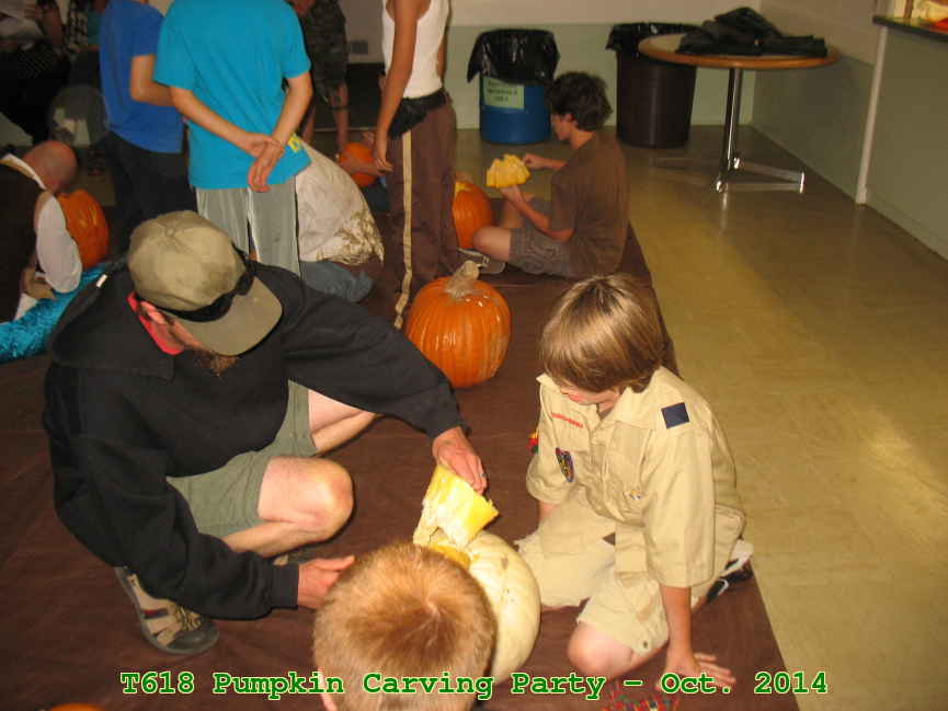 Picture 0008
