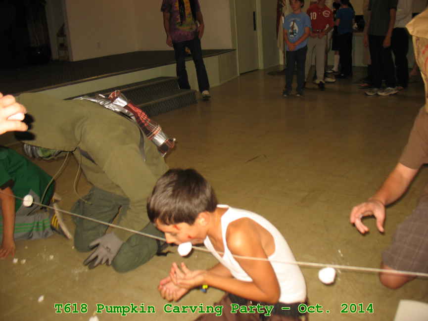 Picture 0028