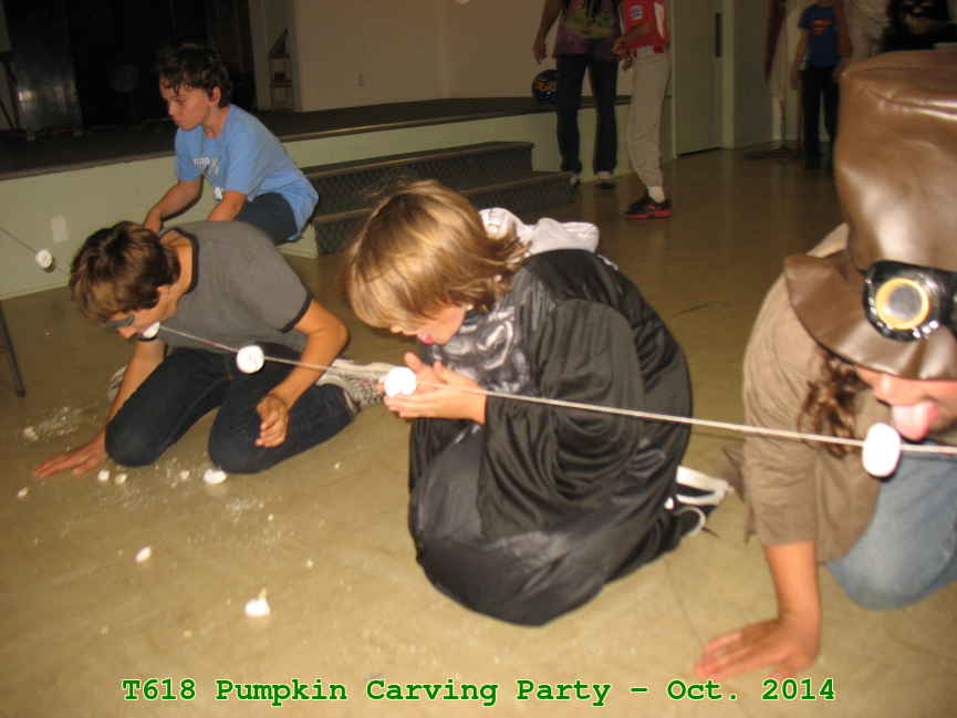 Picture 0029