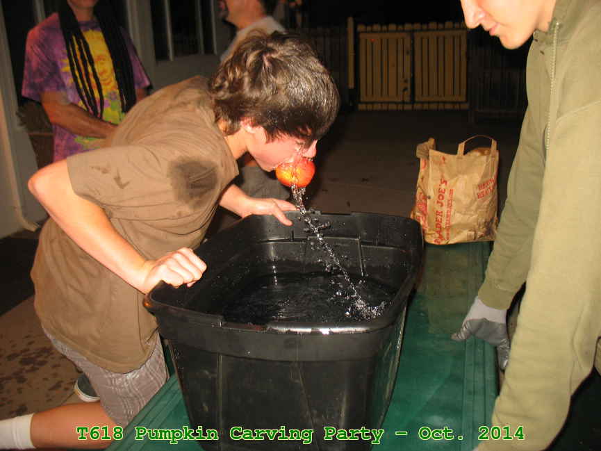 Picture 0035