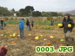 Picture 0003
