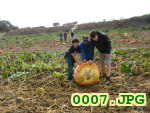 Picture 0007
