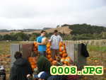 Picture 0008