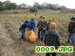 Picture 0009