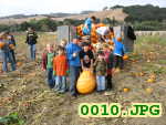 Picture 0010