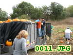 Picture 0011