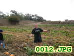 Picture 0012