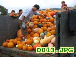 Picture 0013