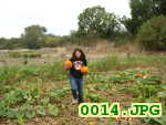 Picture 0014