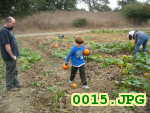 Picture 0015