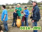 Picture 0016