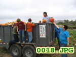 Picture 0018