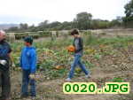 Picture 0020