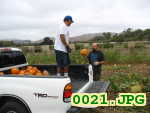 Picture 0021