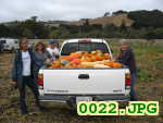 Picture 0022