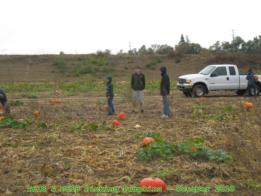 Picture 0002