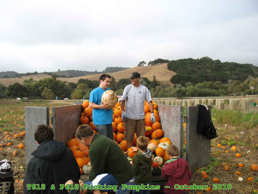Picture 0008