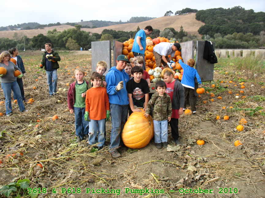 Picture 0010