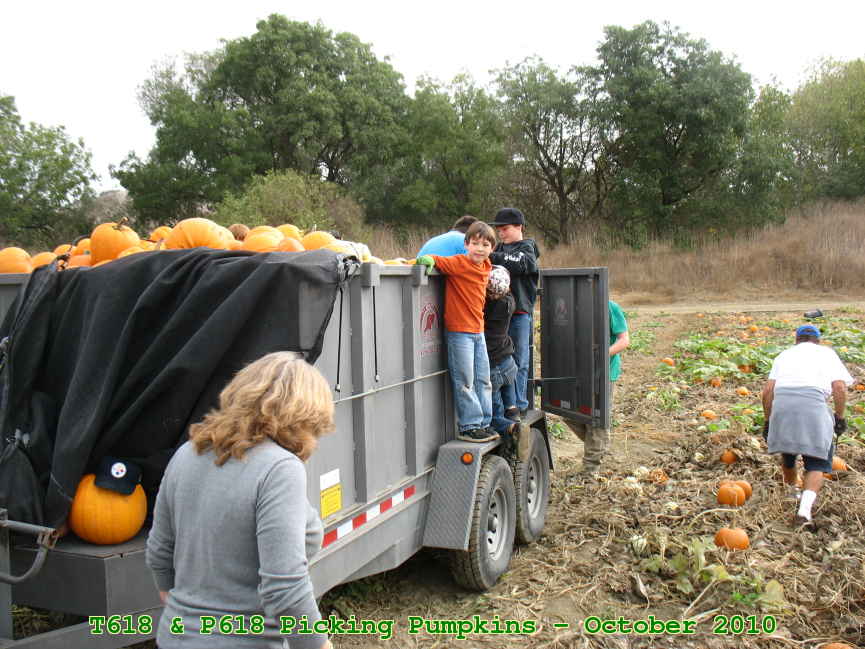 Picture 0011